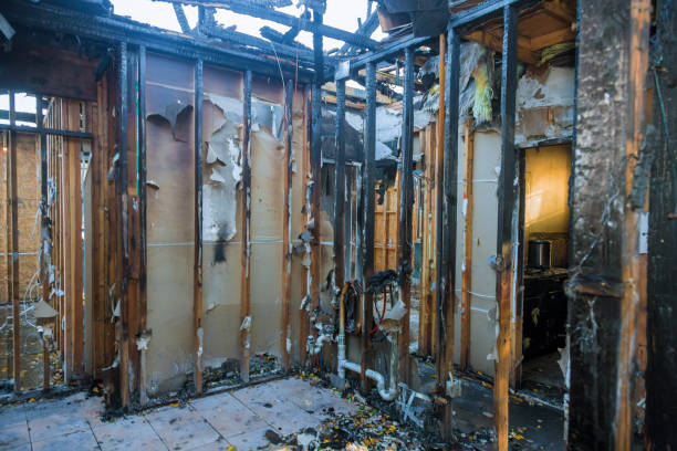 Professional Structural Rebuild technician working in Columbus, NC